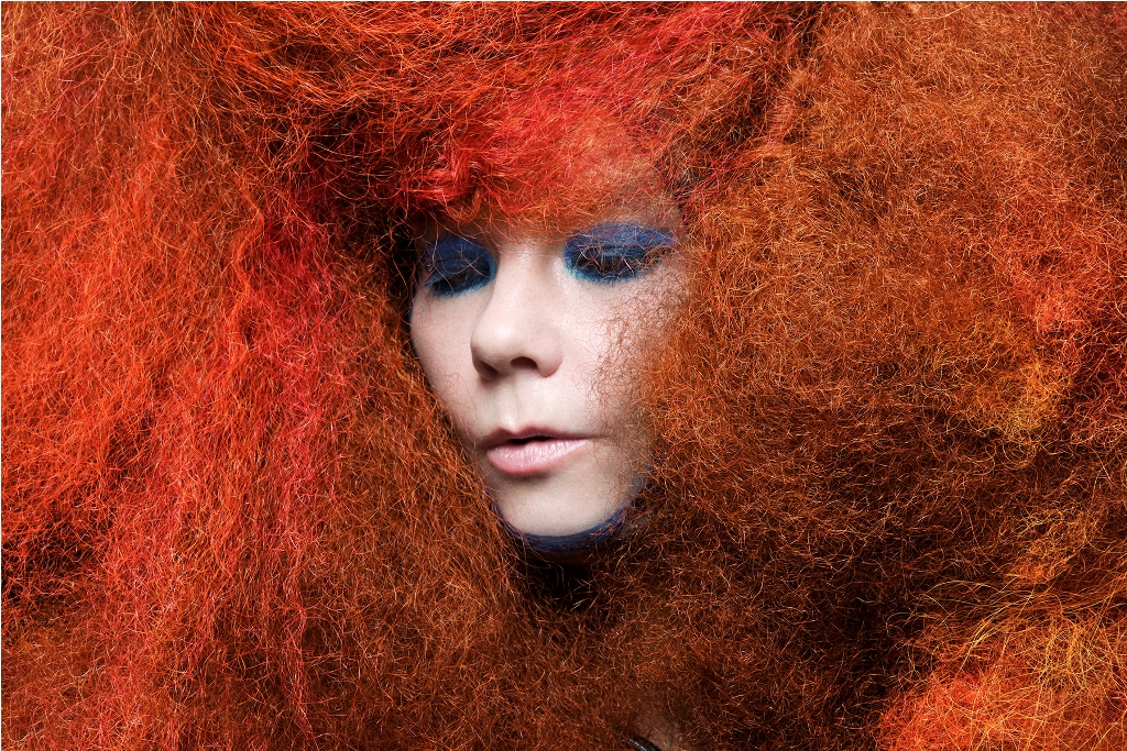 Björk Biophilia remix series